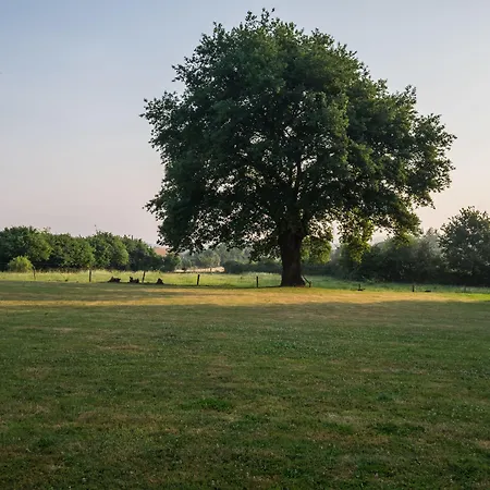 Logis & Restaurant L'ermitage 3*