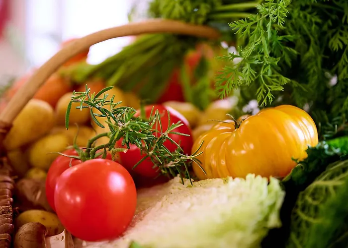 Logis L'ermitage Hôtel&restaurant Hotel 3*