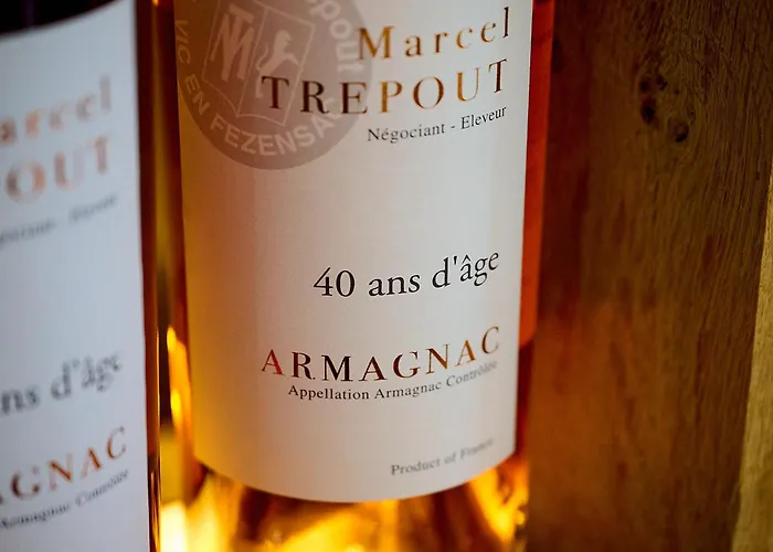 Logis & Restaurant L'ermitage 3* ソルジュ